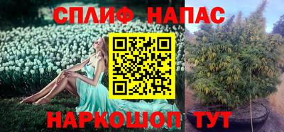 стафф Бузулук
